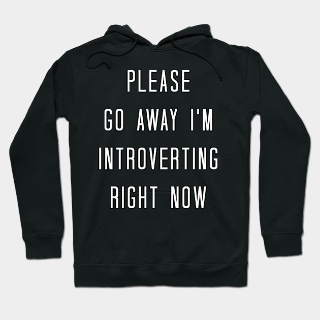 Please Go Away I'm Introverting Right Now Funny Sarcastic Hoodie by Bobtees